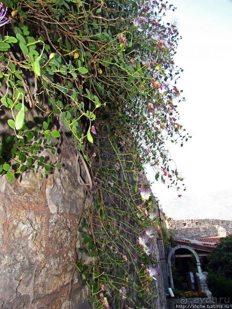 Прогулка по крепостной стене Старой Будвы