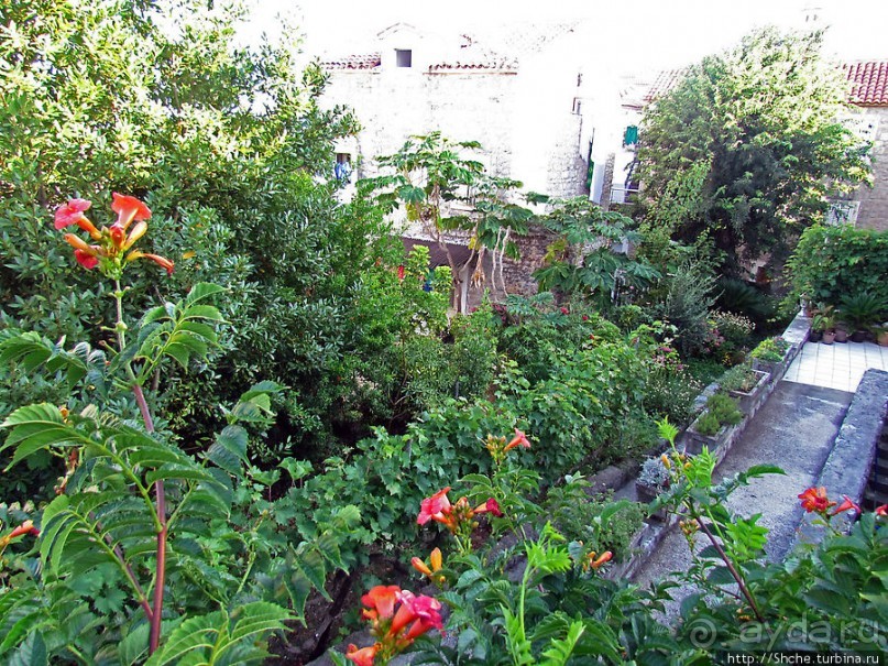 Прогулка по крепостной стене Старой Будвы