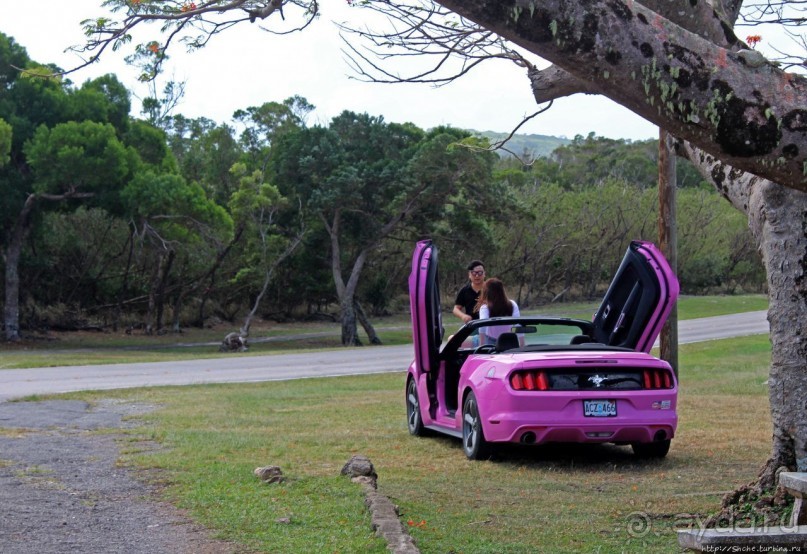 Об японцах, о "Мустангах" и об японцах на "Мустангах"