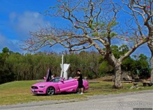 Об японцах, о "Мустангах" и об японцах на "Мустангах"