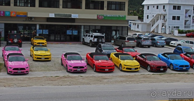 Об японцах, о "Мустангах" и об японцах на "Мустангах"