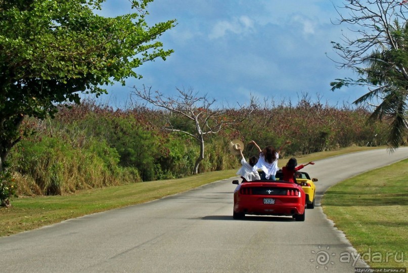 Об японцах, о "Мустангах" и об японцах на "Мустангах"