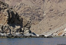 Оманские фьерды... Скалистое побережье Мусандама