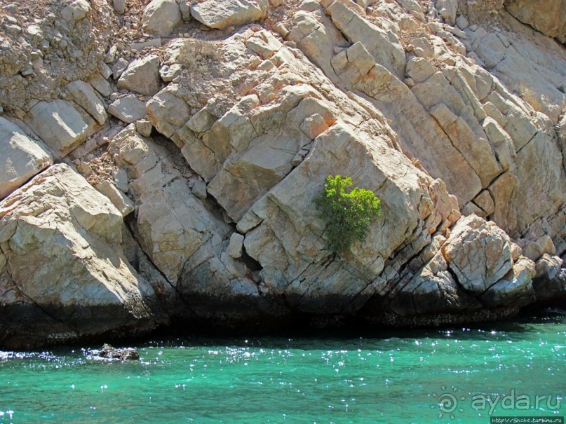 Оманские фьерды... Скалистое побережье Мусандама