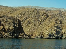 Оманские фьерды... Скалистое побережье Мусандама