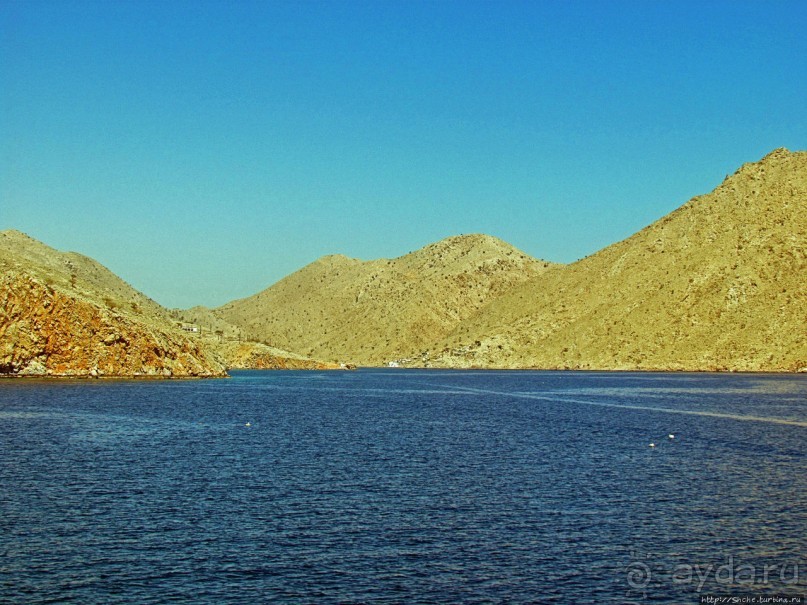 Оманские фьерды... Скалистое побережье Мусандама