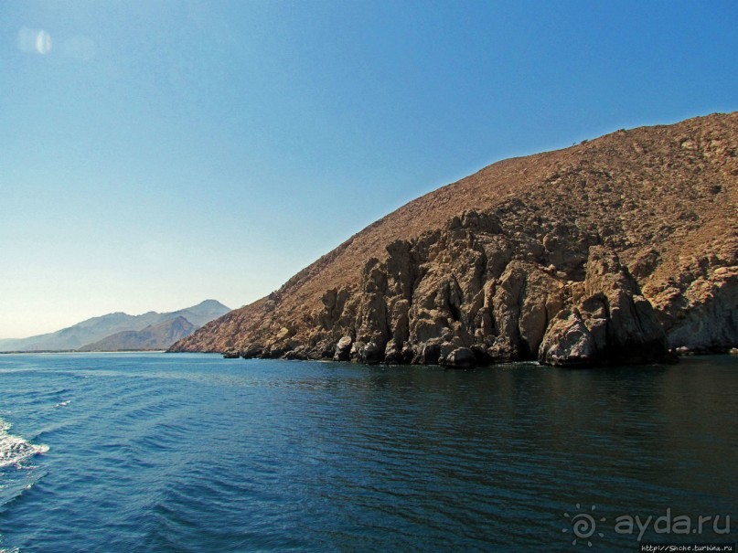Оманские фьерды... Скалистое побережье Мусандама