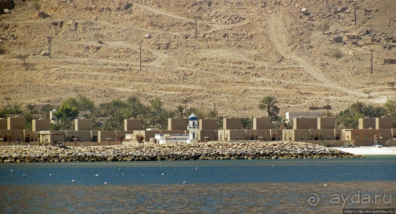 Оманские фьерды... Скалистое побережье Мусандама