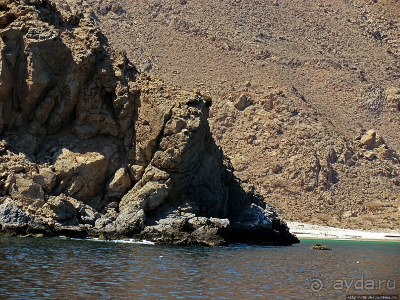 Оманские фьерды... Скалистое побережье Мусандама