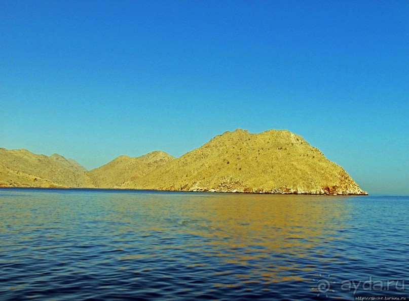 Оманские фьерды... Скалистое побережье Мусандама