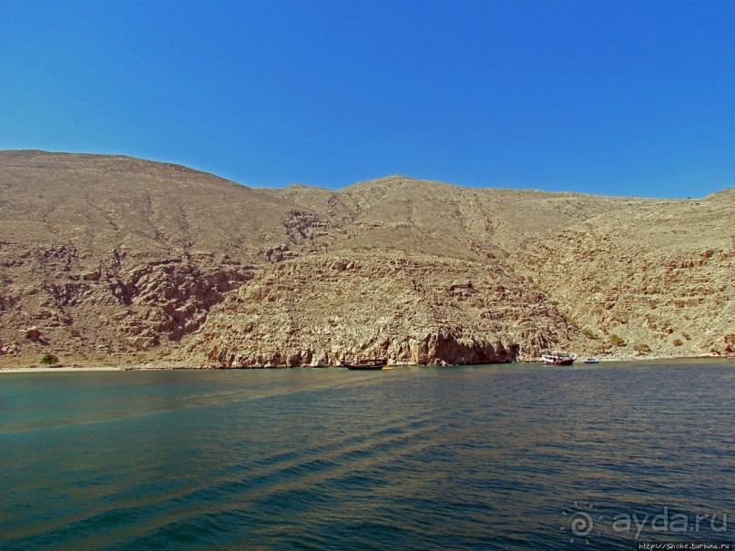 Оманские фьерды... Скалистое побережье Мусандама