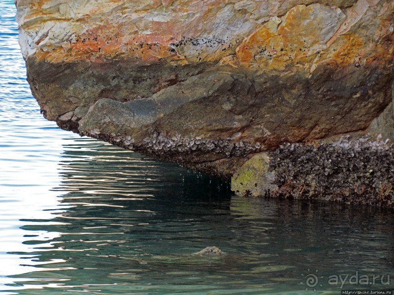 Оманские фьерды... Скалистое побережье Мусандама