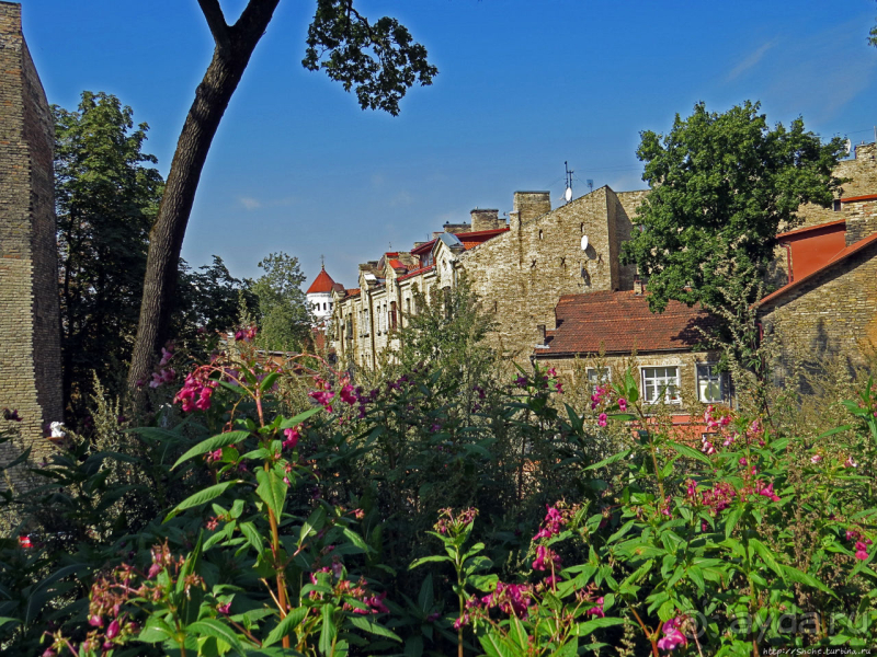 Республика Ужупис — Не побеждай Не защищайся Не сдавайся 