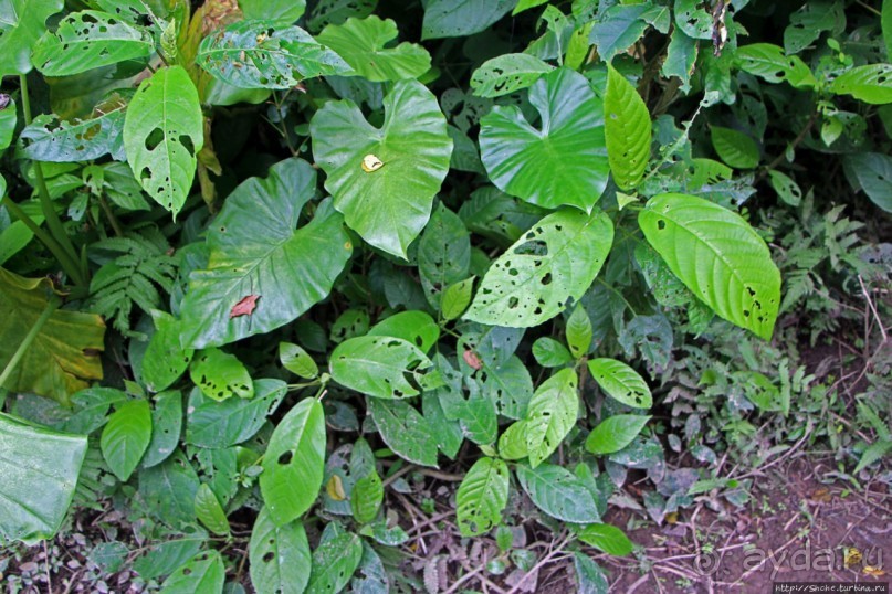 Пещерный край. Фонгня-Кебанг нац. парк (объект ЮНЕСКО №951)