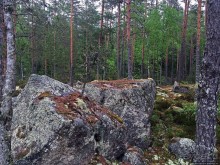 Саммаллахденмяки — "мохнатый" объект ЮНЕСКО в финском лесу