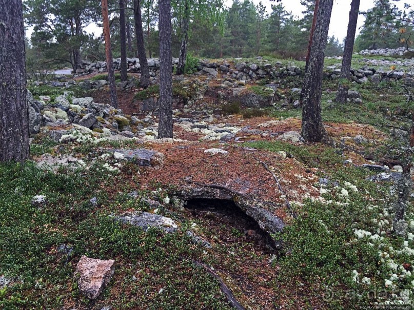 Саммаллахденмяки — "мохнатый" объект ЮНЕСКО в финском лесу