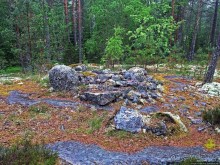 Саммаллахденмяки — "мохнатый" объект ЮНЕСКО в финском лесу