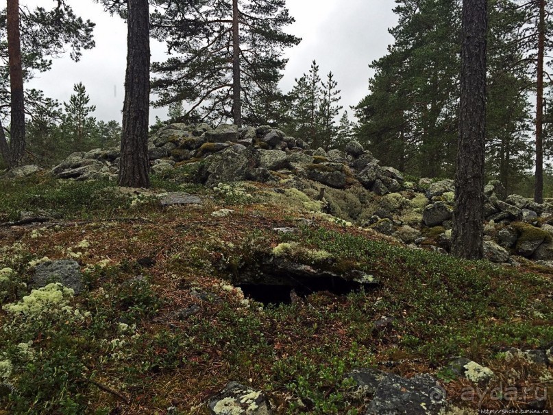 Саммаллахденмяки — "мохнатый" объект ЮНЕСКО в финском лесу