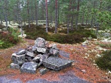 Саммаллахденмяки — "мохнатый" объект ЮНЕСКО в финском лесу