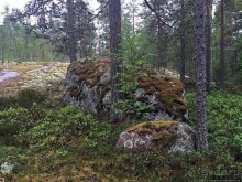 Саммаллахденмяки — "мохнатый" объект ЮНЕСКО в финском лесу