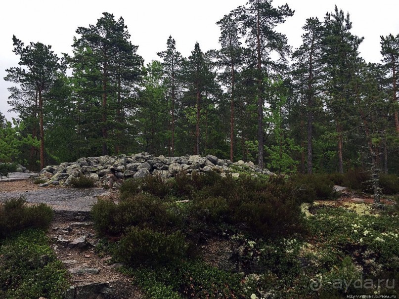 Саммаллахденмяки — "мохнатый" объект ЮНЕСКО в финском лесу