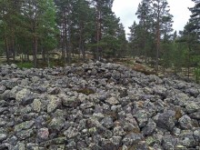 Саммаллахденмяки — "мохнатый" объект ЮНЕСКО в финском лесу