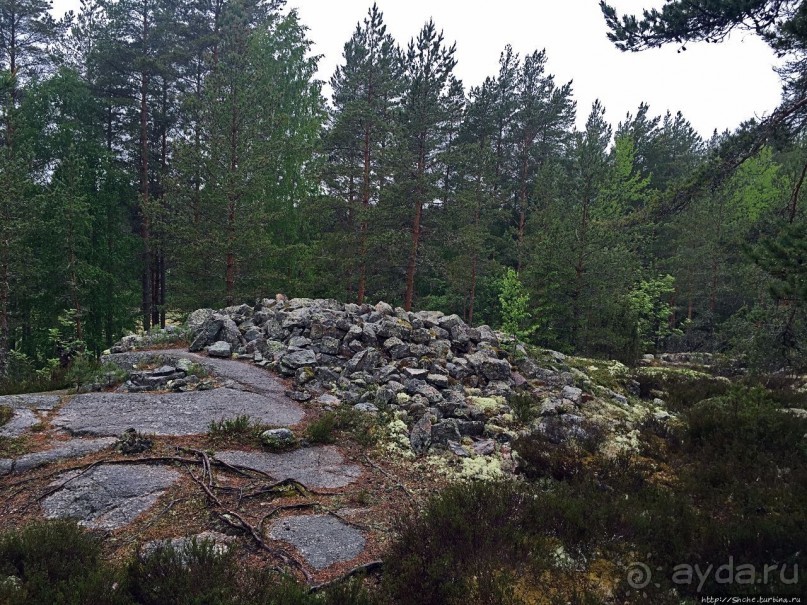 Саммаллахденмяки — "мохнатый" объект ЮНЕСКО в финском лесу