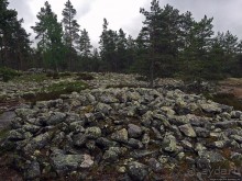 Саммаллахденмяки — "мохнатый" объект ЮНЕСКО в финском лесу