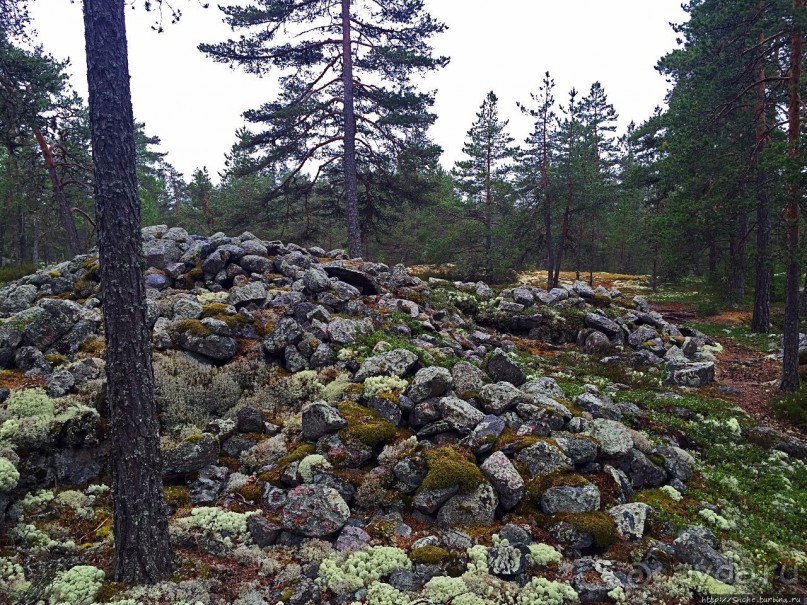 Саммаллахденмяки — "мохнатый" объект ЮНЕСКО в финском лесу