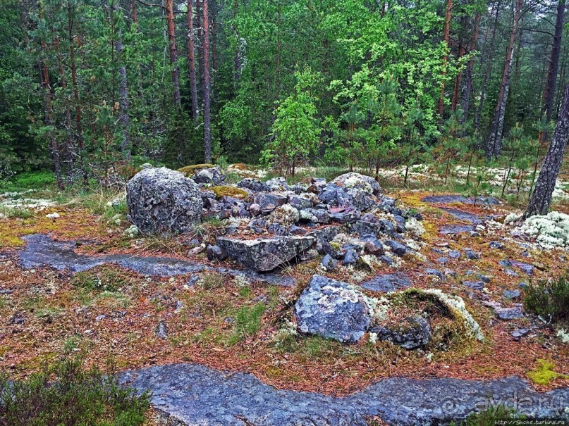 Саммаллахденмяки — "мохнатый" объект ЮНЕСКО в финском лесу