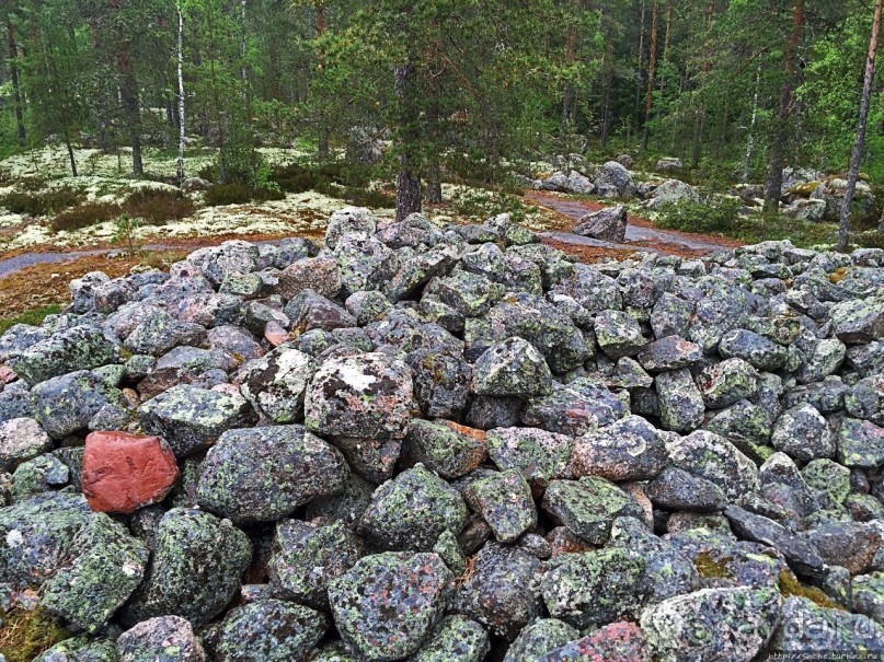 Саммаллахденмяки — "мохнатый" объект ЮНЕСКО в финском лесу