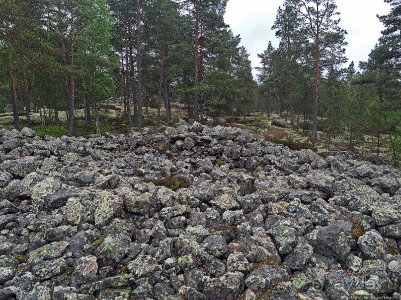 Саммаллахденмяки — "мохнатый" объект ЮНЕСКО в финском лесу