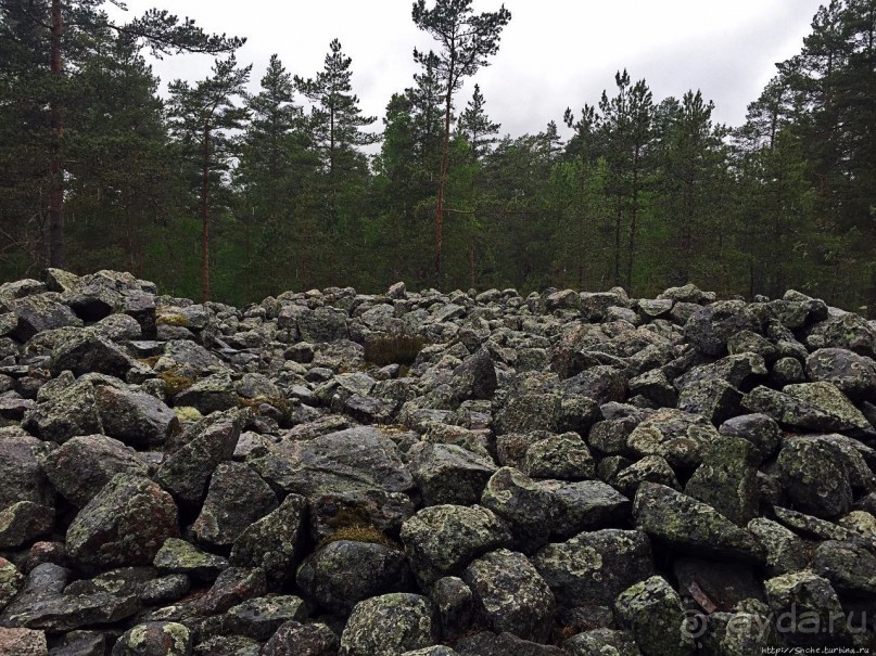 Саммаллахденмяки — "мохнатый" объект ЮНЕСКО в финском лесу