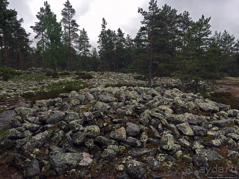 Саммаллахденмяки — "мохнатый" объект ЮНЕСКО в финском лесу