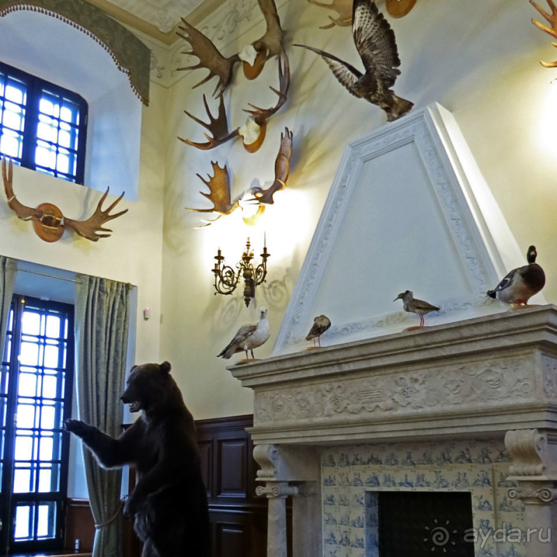 Аки хоромы царские — интерьеры замка Радзивиллов в Несвиже 