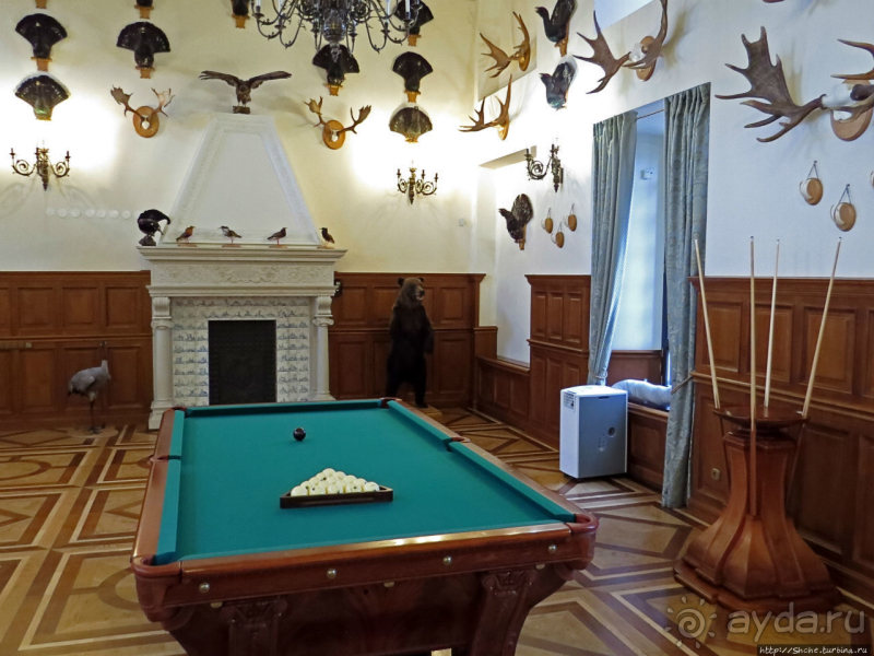 Альбом истории "Аки хоромы царские — интерьеры замка Радзивиллов в Несвиже "