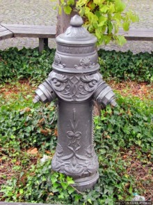 Аббатство епископства Галльского и его кафедральный собор