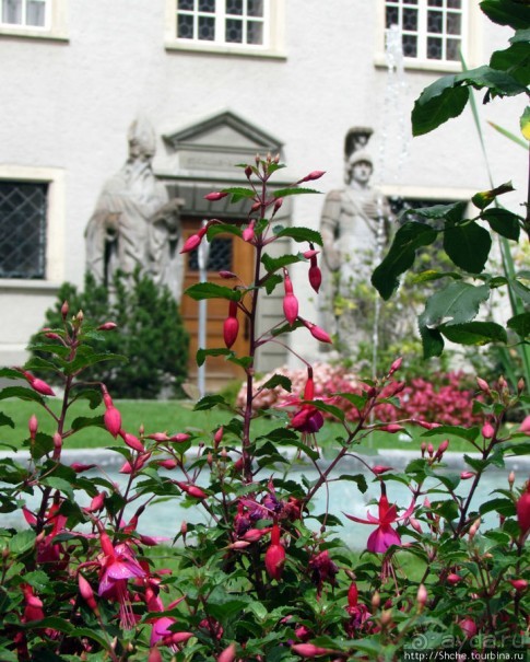 Аббатство епископства Галльского и его кафедральный собор