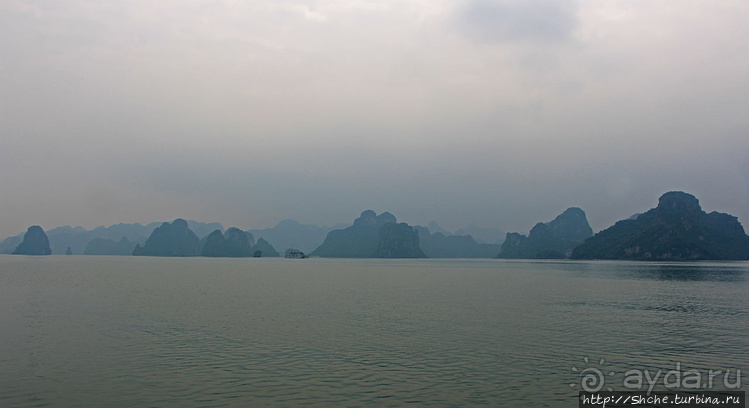 Вышла бухта из тумана