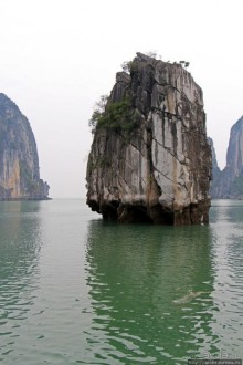 Вышла бухта из тумана