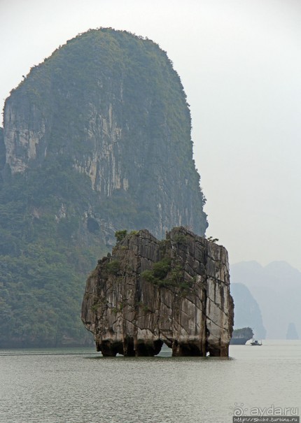 Вышла бухта из тумана