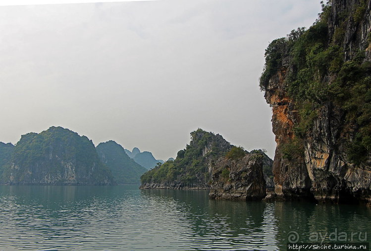 Вышла бухта из тумана
