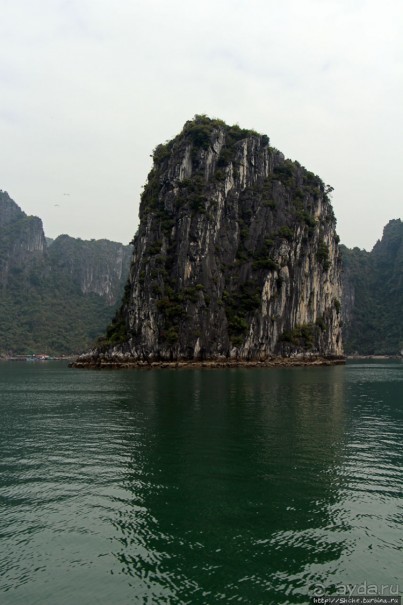 Вышла бухта из тумана