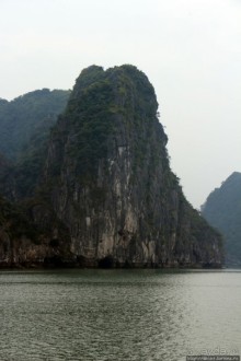 Вышла бухта из тумана