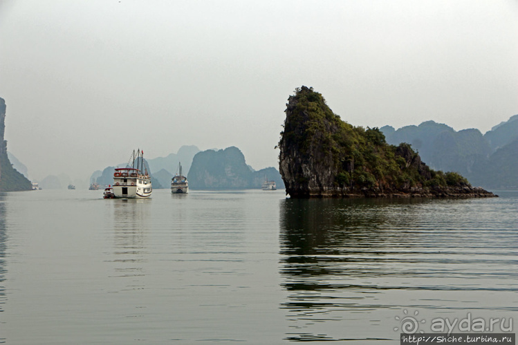 Вышла бухта из тумана