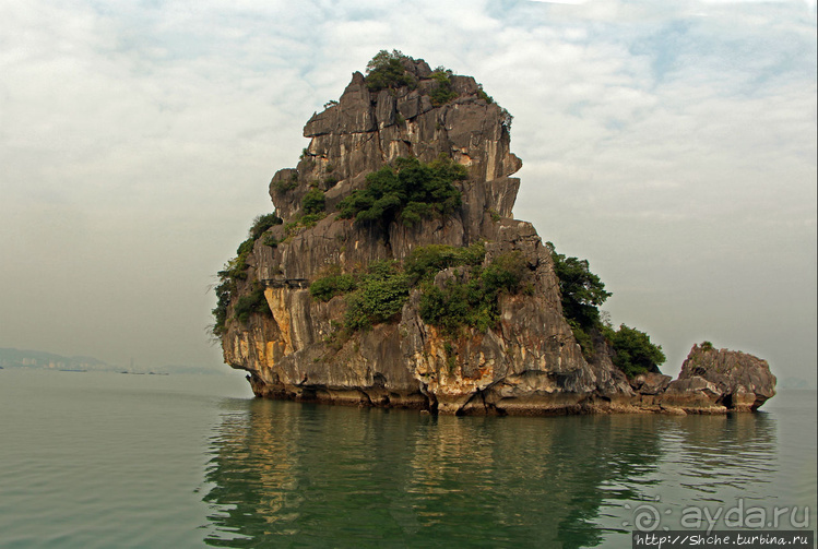 Вышла бухта из тумана