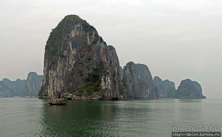 Вышла бухта из тумана