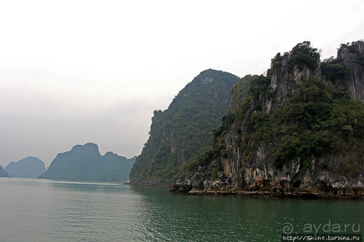 Вышла бухта из тумана