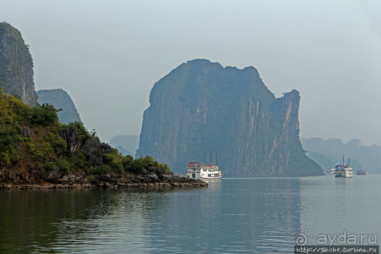 Вышла бухта из тумана