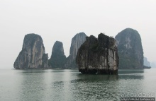 Вышла бухта из тумана